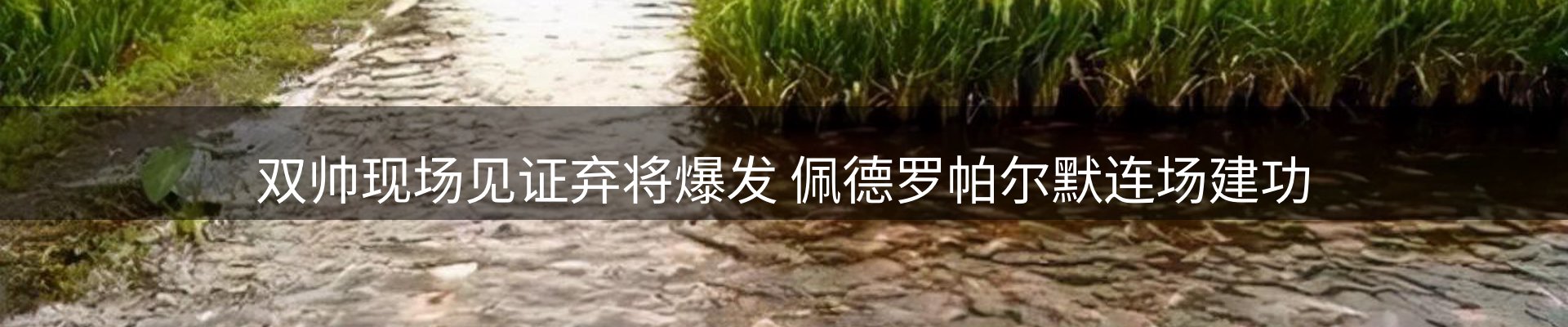 今日前沿
